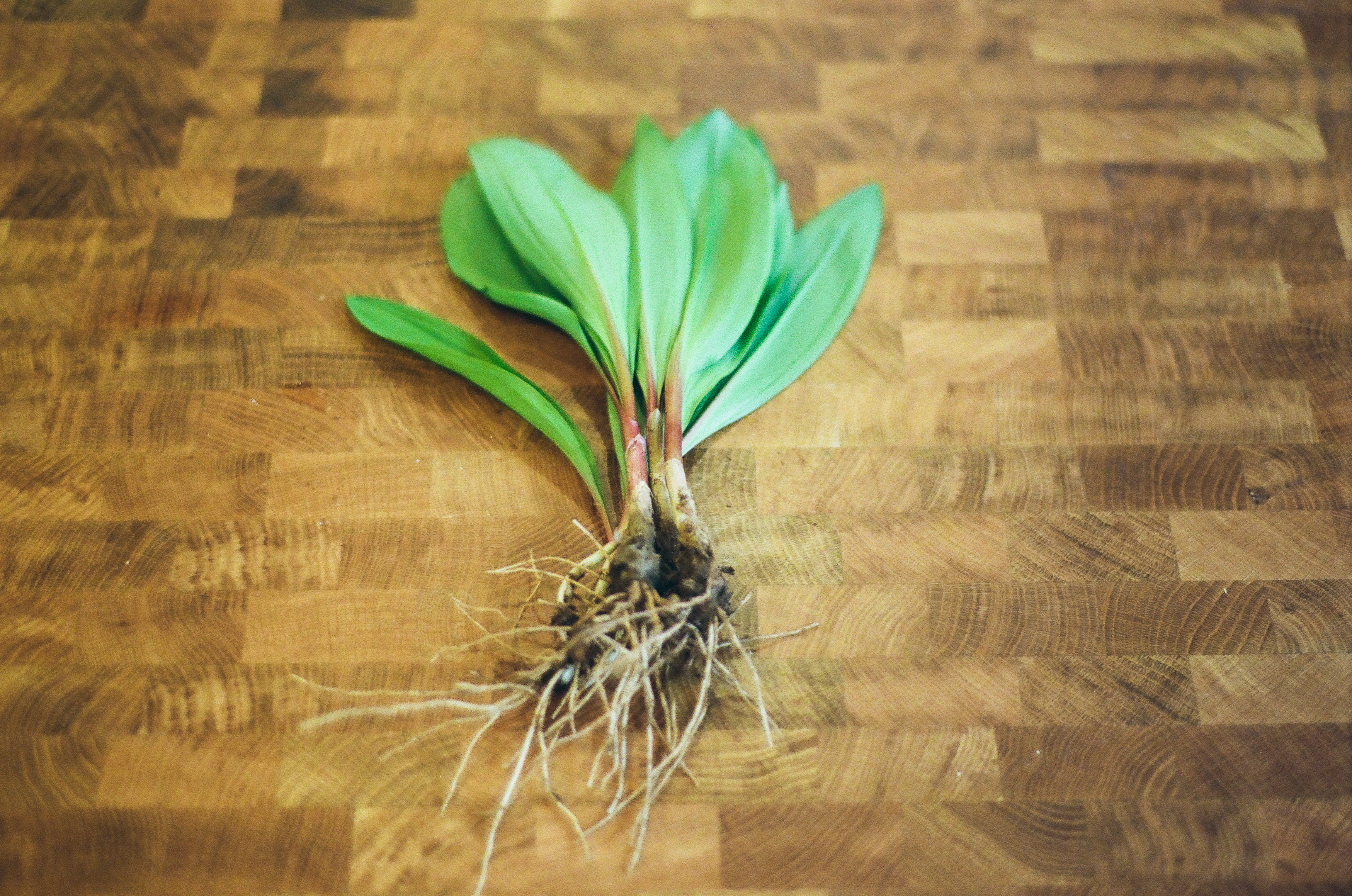 RAMPS!