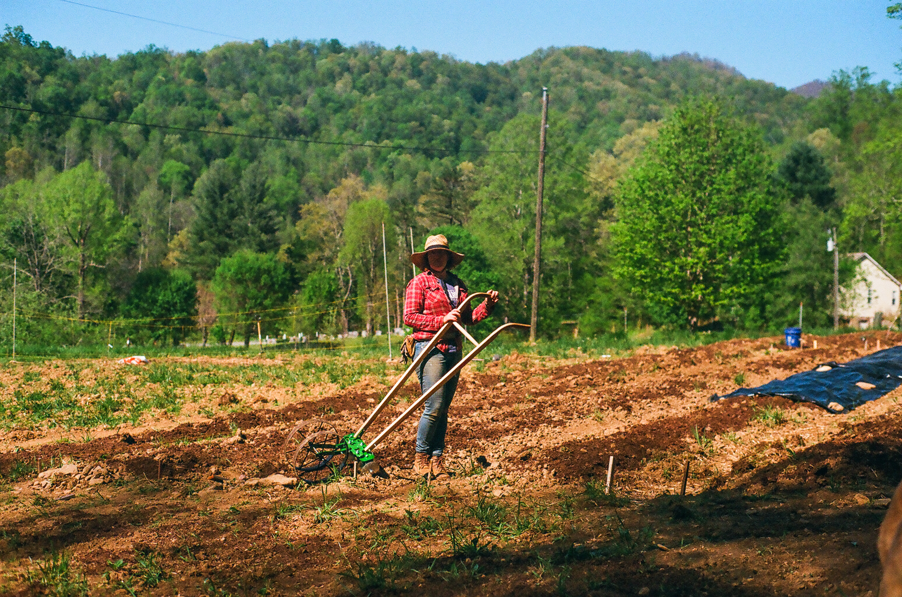 me and a wheelhoe did the rest of the work