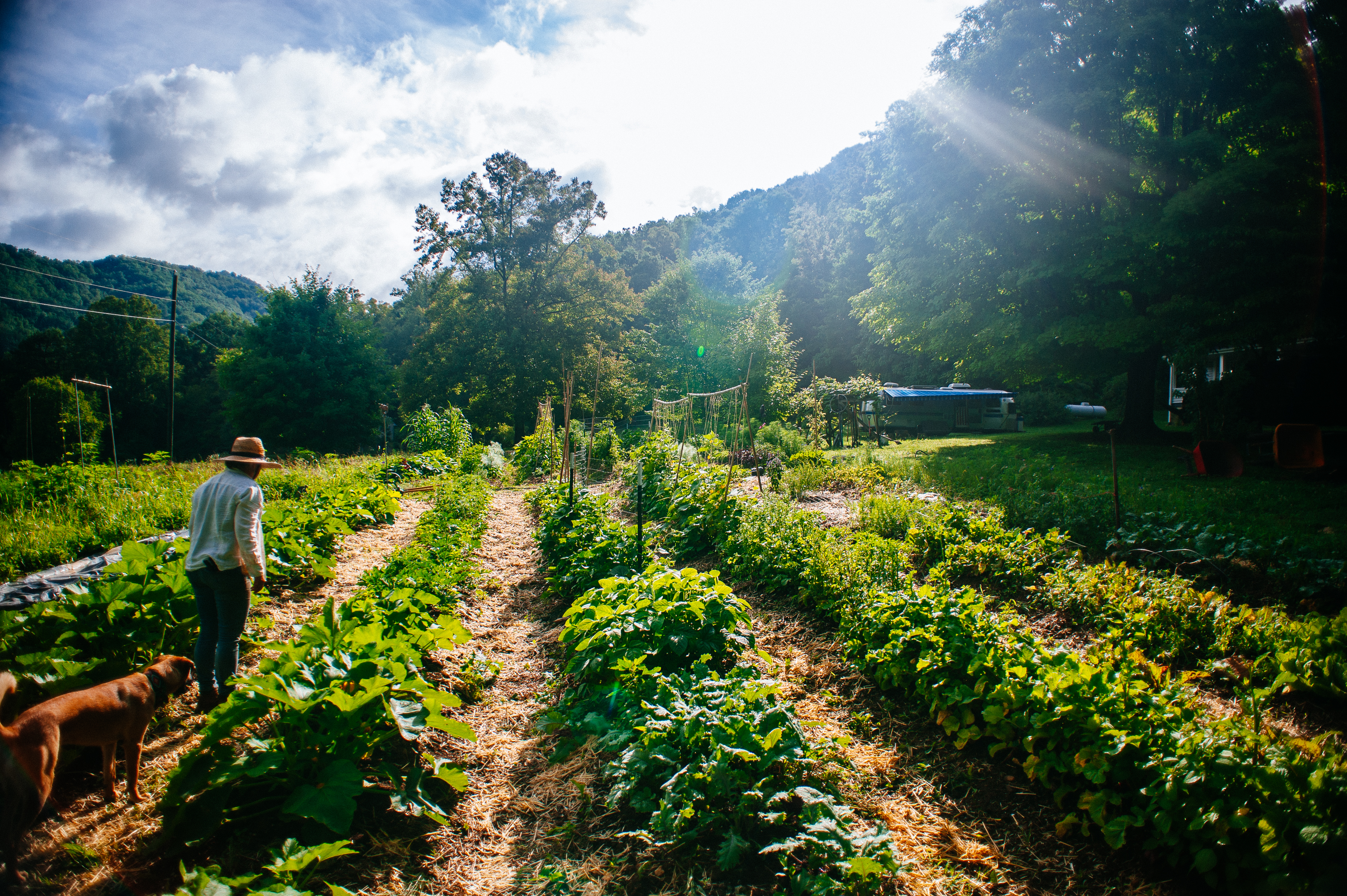 Our first successful rows