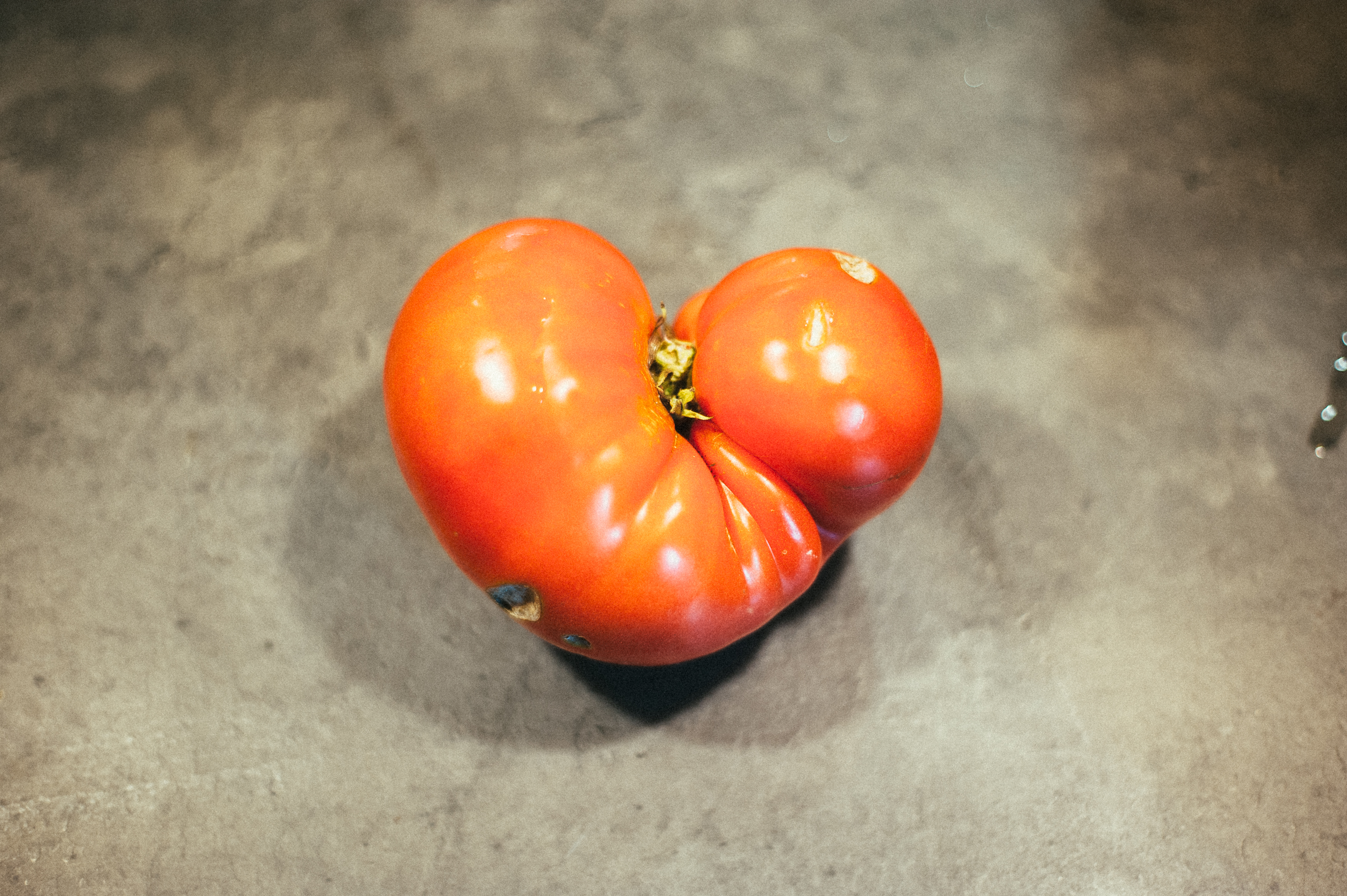 Our tomatoes where also very successful
